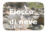 Fiocco di neve
